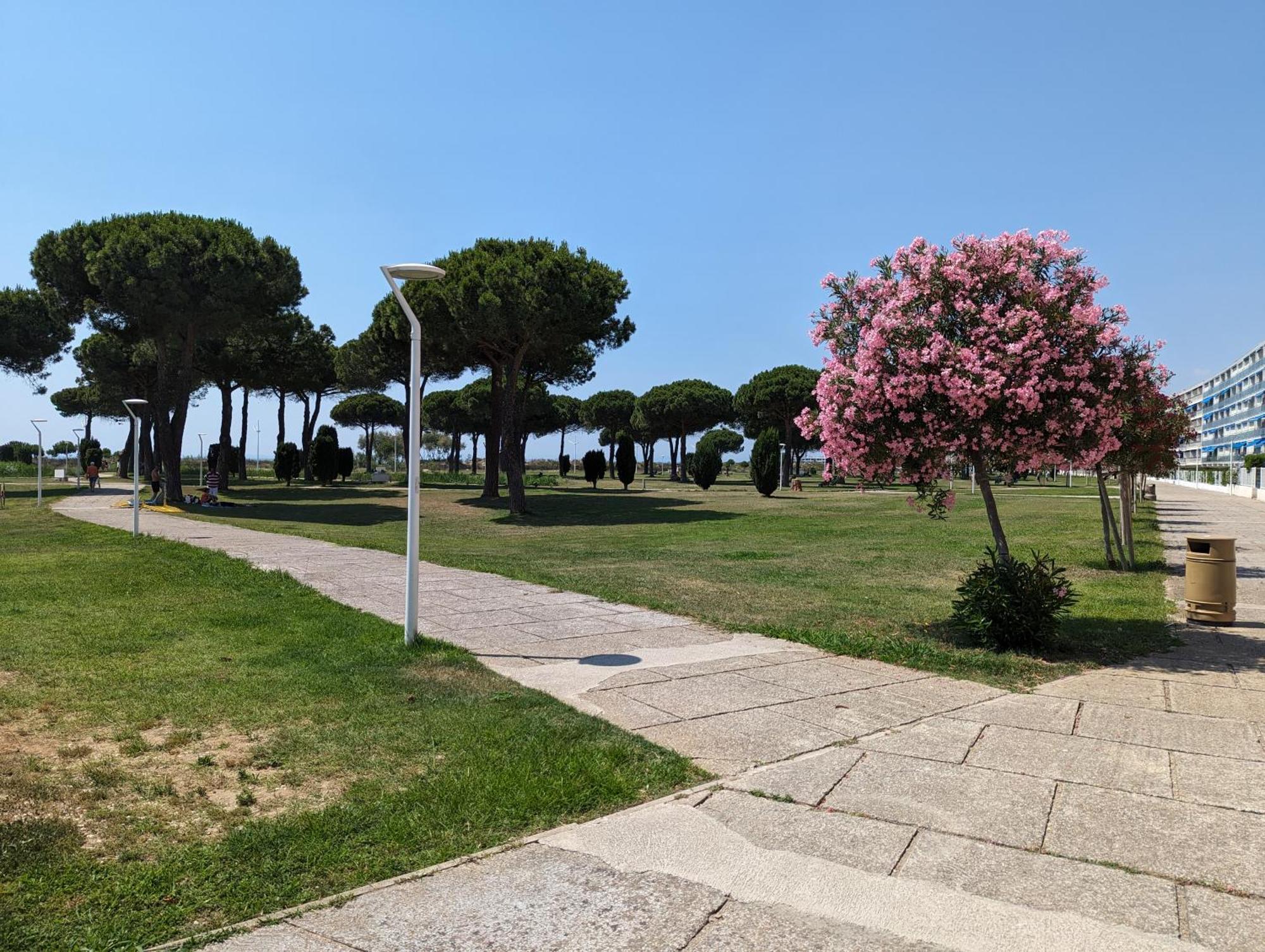 Sol-Y-Days Mathilde, Agreable Appartement En Rez-De-Jardin Avec Parking Et Un Acces Direct A La Plage Ле-Гро-дю-Руа Экстерьер фото